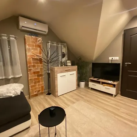 Zengo Kincse Vendeghaz Apartment *