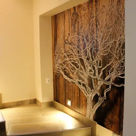 Apartment Zengo Kincse Vendeghaz *